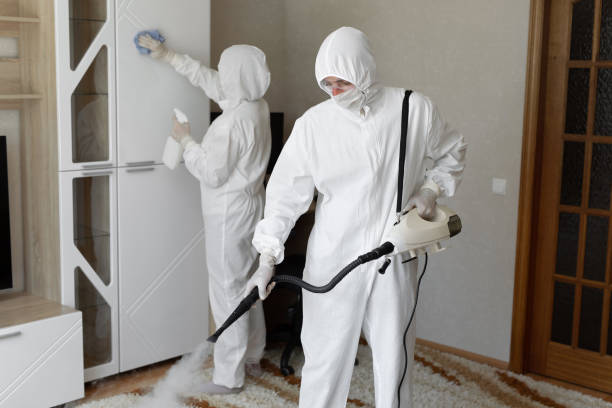 Best Mold Removal for HVAC Installations  in Hemphill, TX